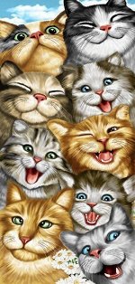 Банное полотенце