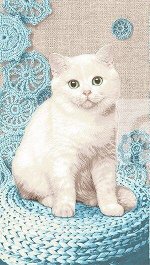 Банное полотенце