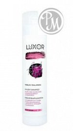 Luxor professional шампунь бивалентный для жирной кожи головы и сухих кончиков волос 300мл