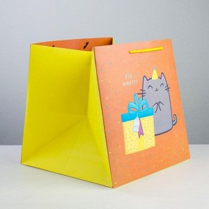 Пакет квадратный «Котик и тортик», 30 ? 30 ? 30 см