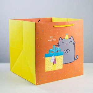 Пакет квадратный «Котик и тортик», 30 ? 30 ? 30 см
