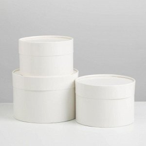Набор шляпных коробок 3 в 1 белый, упаковка подарочная, 16 х 10, 14 х 9, 13 х 8,5 см