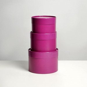 Набор шляпных коробок 3 в 1 фиолетовый, упаковка подарочная, 16 х 10, 14 х 9, 13 х 8,5 см