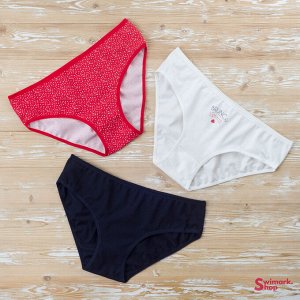 Трусы женские DOMINANT 55000-326, FULL BRIEF, 3 шт. в уп., Color Mix