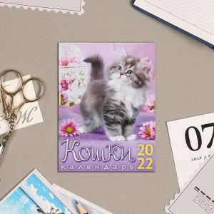 Календарь на магните, отрывной "Кошки" 2022 год, 10х13 см 5199360