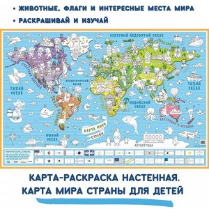 Карта-раскраска настенная Карта мира Страны