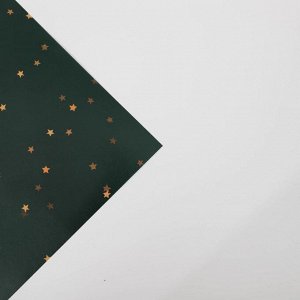 Бумага упаковочная глянцевая «Золотые звездочки», 70 х 100 см