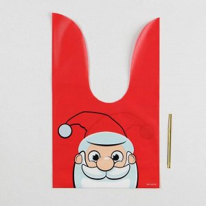 СИМА-ЛЕНД Мешок подарочный «Дед Мороз», 16 ? 26 см
