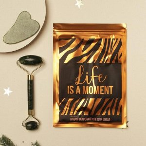 Набор с массажёром для лица в пакете "Life is a moment", 14 х 20 см