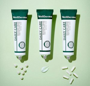 WellDerma Восстанавливающий успокаивающий крем для лица Daily Cure Recovery Cream, 30 мл