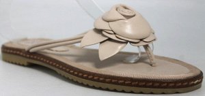 Шлепки Страна производитель: Китай
Размер женской обуви x: 36
Полнота обуви: Тип «F» или «Fx»
Вид обуви: Сланцы
Материал верха: Натуральная кожа
Стиль: Городской
Цвет: Бежевый
Каблук/Подошва: Плоская 