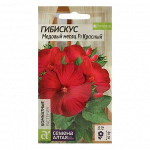 Семена цветов Гибискус "Медовый месяц", красный, Сем. Алт, ц/п, 3 шт