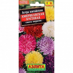 Семена цветов Астра Американская кустовая, смесь окрасок, О, 0,2 г