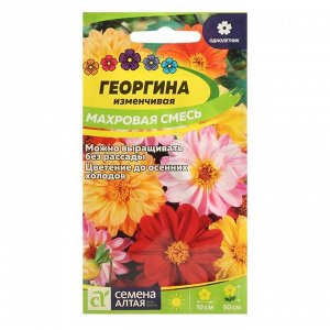 Семена цветов Георгина "Махровая", смесь окрасок, Сем. Алт, ц/п, 0,2 г