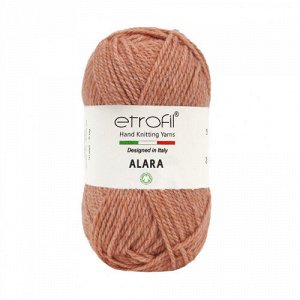 Пряжа Etrofil Alara