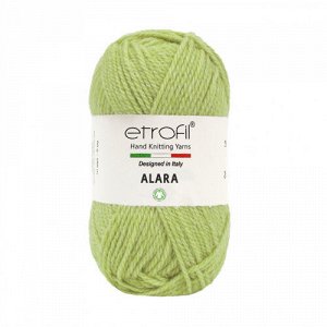 Пряжа Etrofil Alara