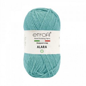 Пряжа Etrofil Alara