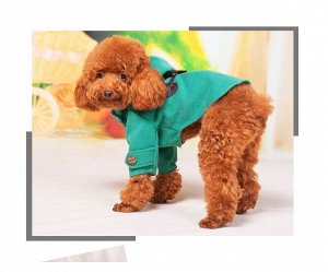 Пальто для собак, цвет зелёный