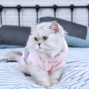 Плюшевый костюм для животных, цвет розовый, размер S