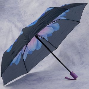 зонт 
            28.2048-03