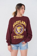 Бордовая толстовка с принтом Maryland Tigers