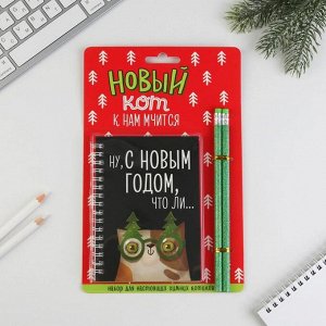 Art Fox Набор «Новый кот к нам мчится»: блокнот на спирали и 2 карандаша