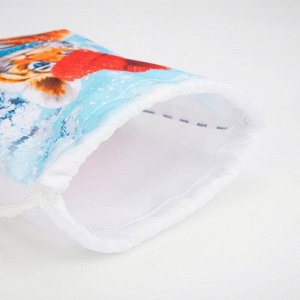 Мешок-рюкзак новогодний, 21 ? 29 см, отдел на шнурке, цвет синий, «Тигрёнок в шапочке с шарфом»