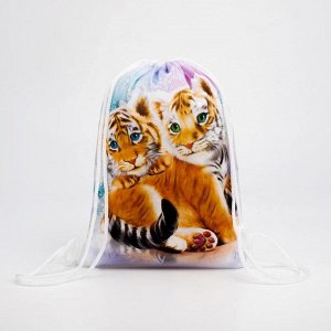 Мешок-рюкзак новогодний, 21 ? 29 см, отдел на шнурке, цвет разноцветный, «Тигры Близнецы»