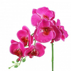 LADECOR Цветочная композиция Орхидеи, в декоративном горшке, пластик, 45см