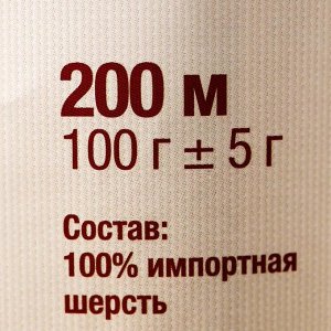 Пряжа "Аргентинская шерсть" 100% импортная п/т шерсть 200м/100гр (168 св. серый)