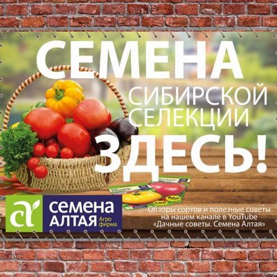 Сезон 2022. Семена Алтая. Свободное в счете