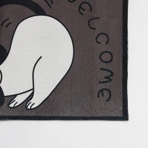 Коврик влаговпитывающий придверный Доляна «Собака», без окантовки, 39x59 см