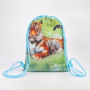 Мешок-рюкзак новогодний, 21 ? 29 см, отдел на шнурке, цвет зелёный, «Тигр на полянке»