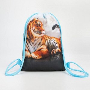 Мешок-рюкзак новогодний, 21 ? 29 см, отдел на шнурке, цвет голубой, «Тигр»