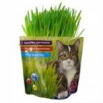 Трава для кошек. Набор для выращивания