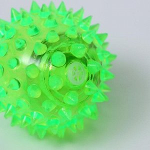Мяч светящийся для собак средний, TPR, 5,5 см, зелёный