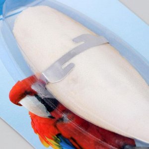 Панцирь каракатицы с креплением для птиц, 15 см