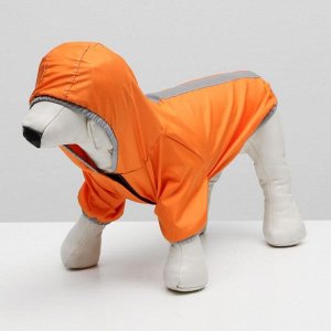 Куртка-ветровка, оранжевая, XL ( дс 31 см, ош 30-32 см, ог 42-46 см)