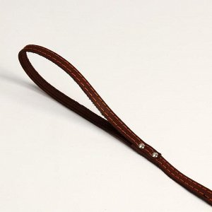 Поводок кожаный однослойный, простроченный, 1.41 м х 1.2 см, коричневый
