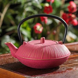 Чайник с ситом «Атсуи», 800 мл, цвет розовый