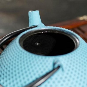 Чайник с ситом «Амэ», 800 мл, цвет синий
