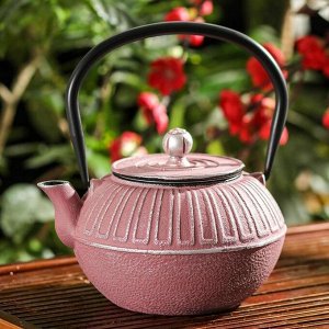 Чайник с ситом «Фэн», 1 л, цвет розовый