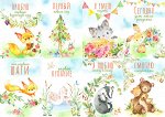 Карточки. Животные акварель