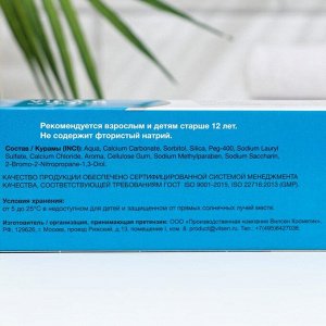 Зубная паста «Семейная защита» без фтора серии “Vilsendent”, 170 г