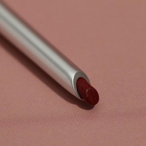 Автоматический карандаш для губ Wonder Lips, оттенок 302, Cherry Lover