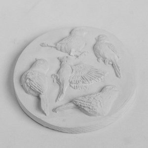 Силиконовый молд, форма для заливки «Птицы», 1.5x3.5 см-1.5x4.5 см, МИКС
