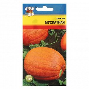 Семена Тыква "Мускатная",1 гр