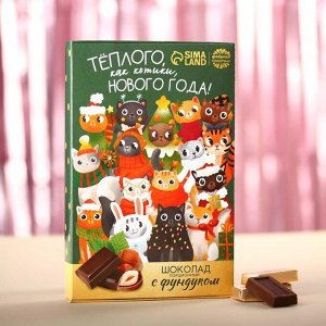 Шоколад порционный «Тёплого, как котики, нового года» с фундуком, 75 г.