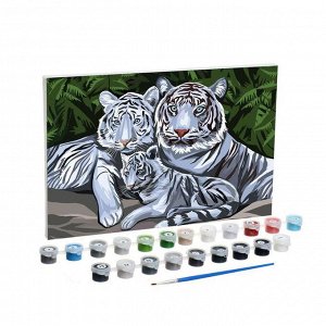 Картина по номерам на холсте с подрамником «Белые тигры» 20х30 см
