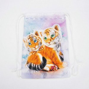 Мешок-рюкзак новогодний, 21 ? 29 см, отдел на шнурке, цвет разноцветный, «Тигры Близнецы»